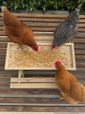 Chicken/Animal Feeder.